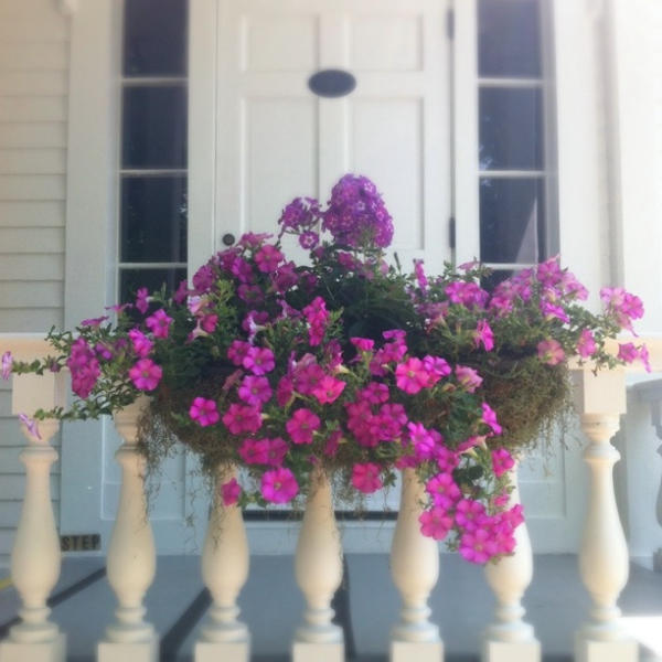 The Old Lyme Inn Exterior foto
